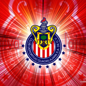 Meet your Posher, Ruben